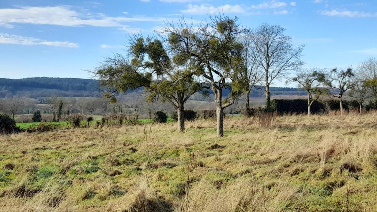 Gite Cottage Chaleureux En Pleine Campagne Vue Sur Les Monts Et Forets Et Le Chateau De Carrouges Exterior photo