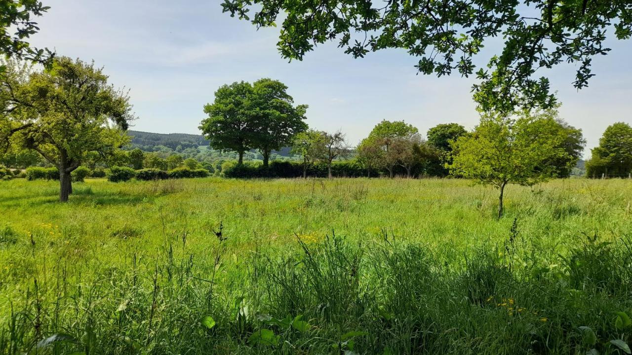 Gite Cottage Chaleureux En Pleine Campagne Vue Sur Les Monts Et Forets Et Le Chateau De Carrouges Exterior photo